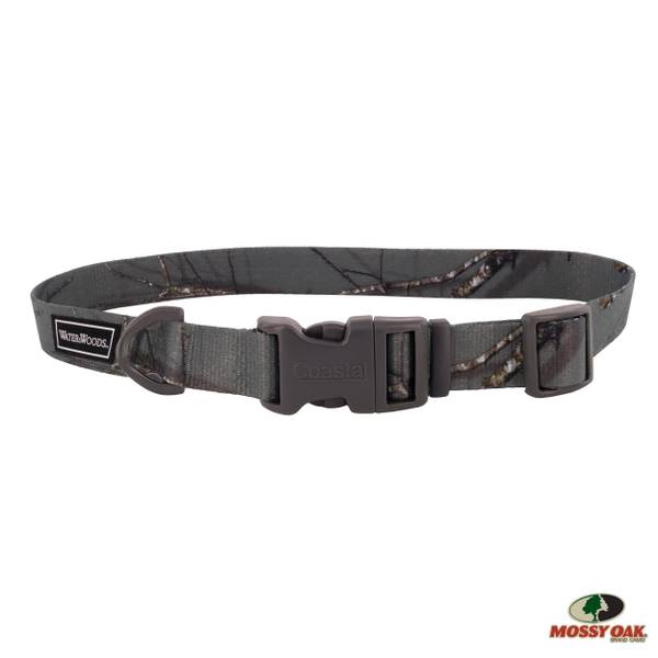 Water & Woods Country Roots Evergreen Adjustble Dog Collar