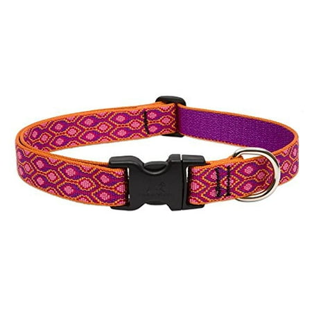 LupinePet Originals 1" Alpen Glow Dog Collar, Adjustable 12-20"