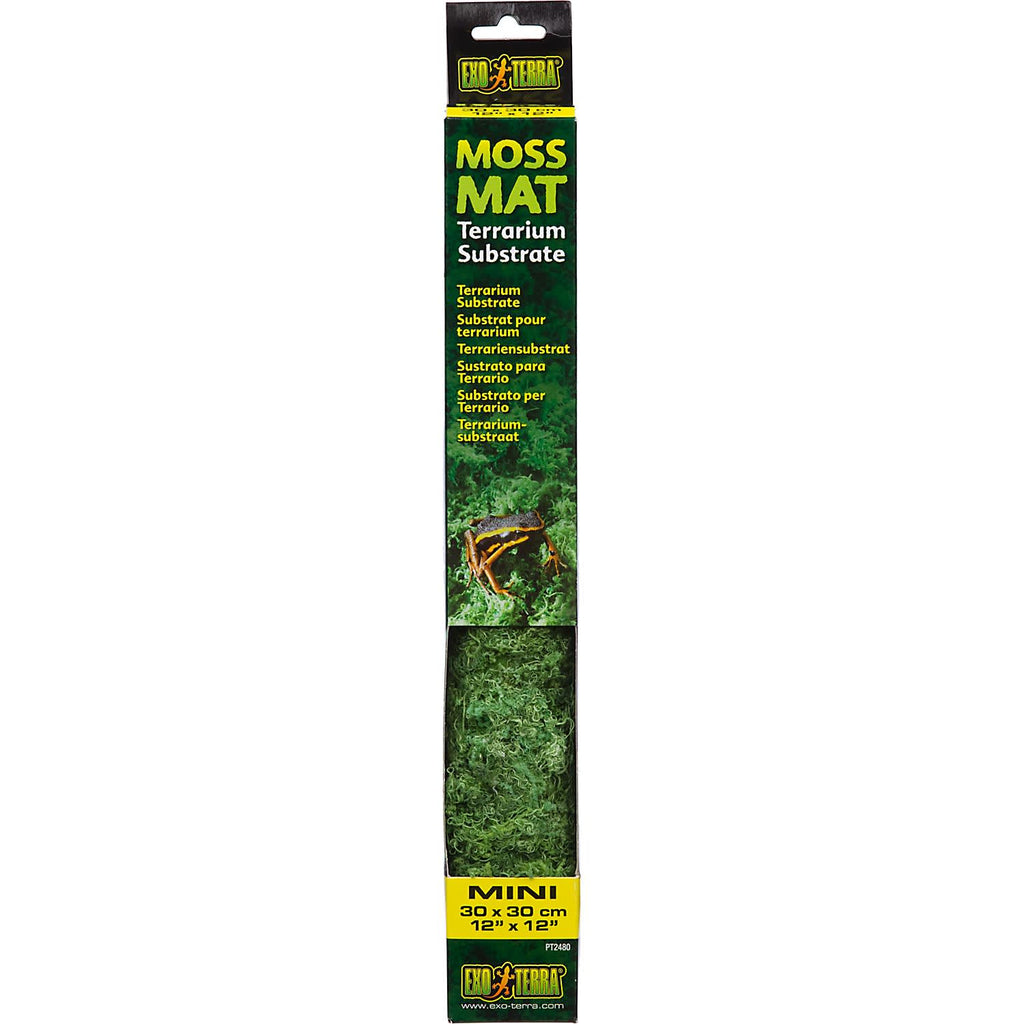 Exo Terra Moss Mat Mini - 12" x 12" Terrarium Substrate, Natural Look, Washable