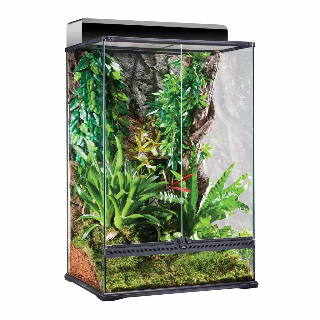 Exo Terra Natural Terrarium - Medium/X-Tall - 24x18x36" Glass Reptile Habitat