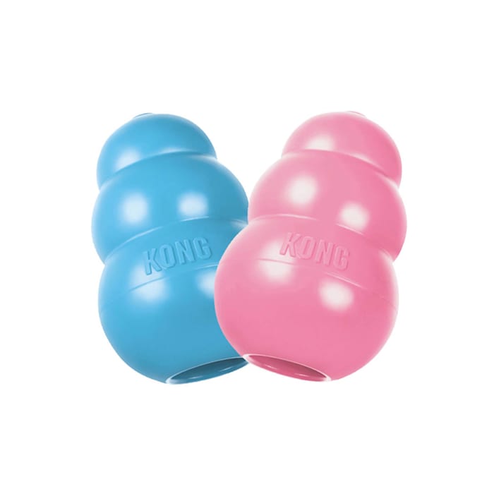 KONG Puppy Dog Toy - X-Small, Teething Rubber Chew, Assorted Colors (Pink or Blue)