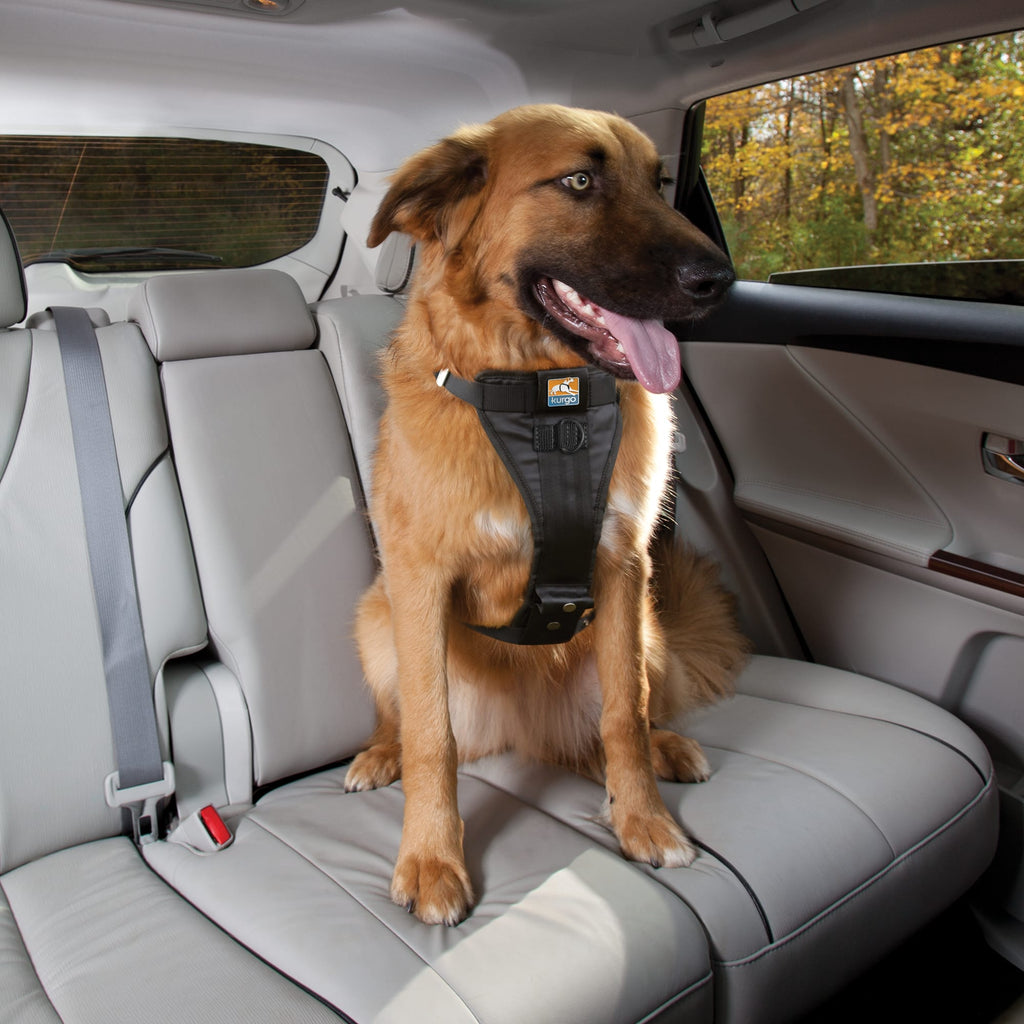 Kurgo Tru-Fit Enhanced Strength Dog Harness - Crash Tested Car Safety, Black, Small