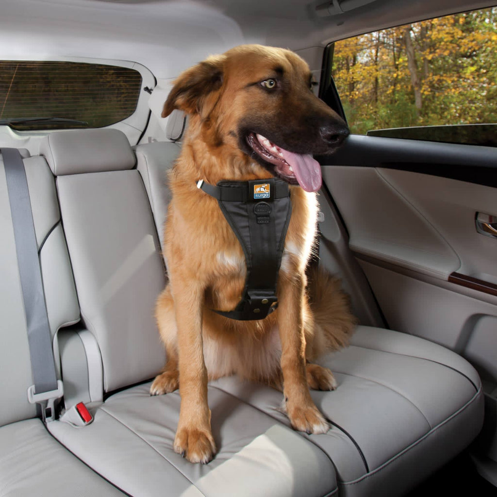 Kurgo Tru-Fit Enhanced Strength Dog Car Harness, Medium, Black - Crash Tested