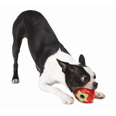 Planet Dog Orbee-Tuff Strawberry Treat-Dispensing Dog Che...