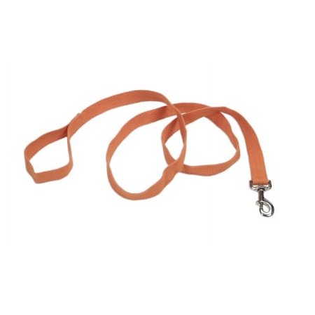 New Earth Soy Dog Leash - Pumpkin - 5/8 inch x 6 feet - Eco-Friendly