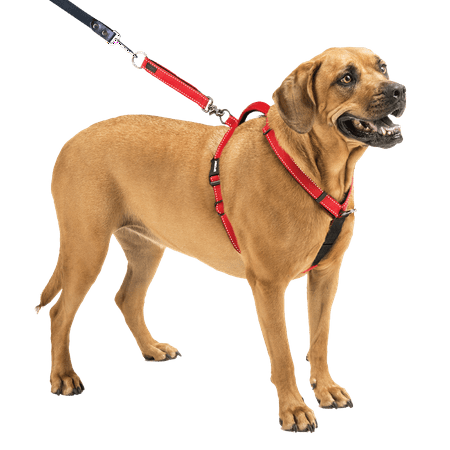 SPORN Ultimate Control Harness