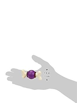 PetSafe Busy Buddy Bouncy Bone Dog Toy - Treat Holding Chew Toy for Small Dogs