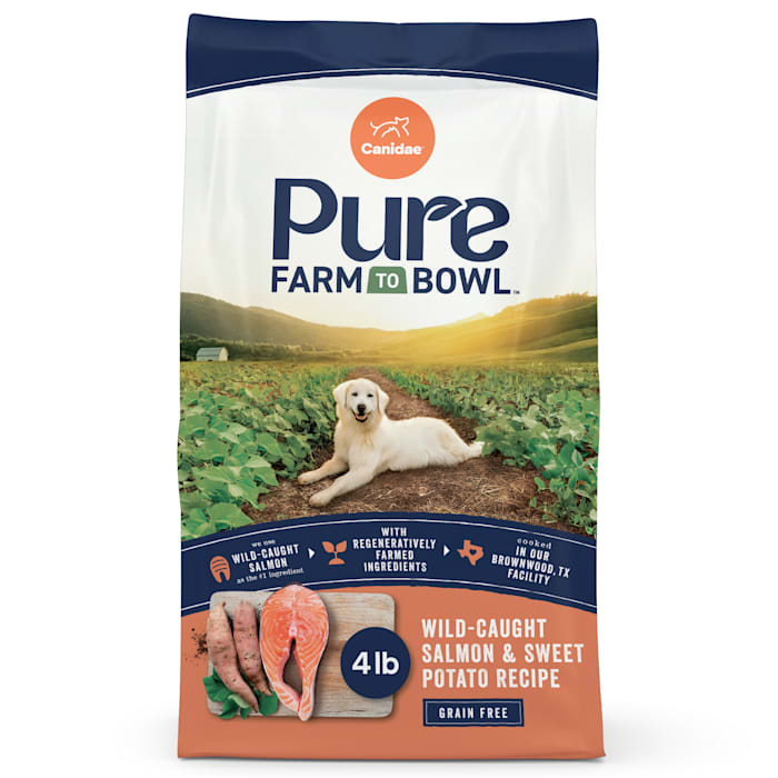 Canidae PURE Grain-Free Salmon & Sweet Potato Recipe, Limited Ingredient, Adult Dry Dog Food, 4 lb