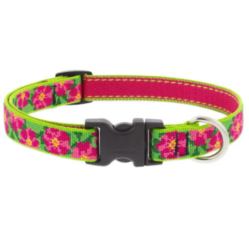 LupinePet Social Butterfly Dog Collar, Adjustable Nylon, Blue/Pink, Small (9-14 in)
