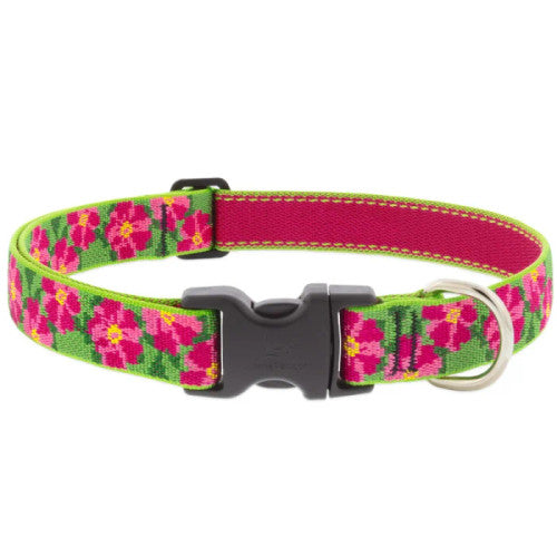 LupinePet Social Butterfly Dog Collar, Blue/Pink Nylon, Adjustable 12-20", 1" Wide