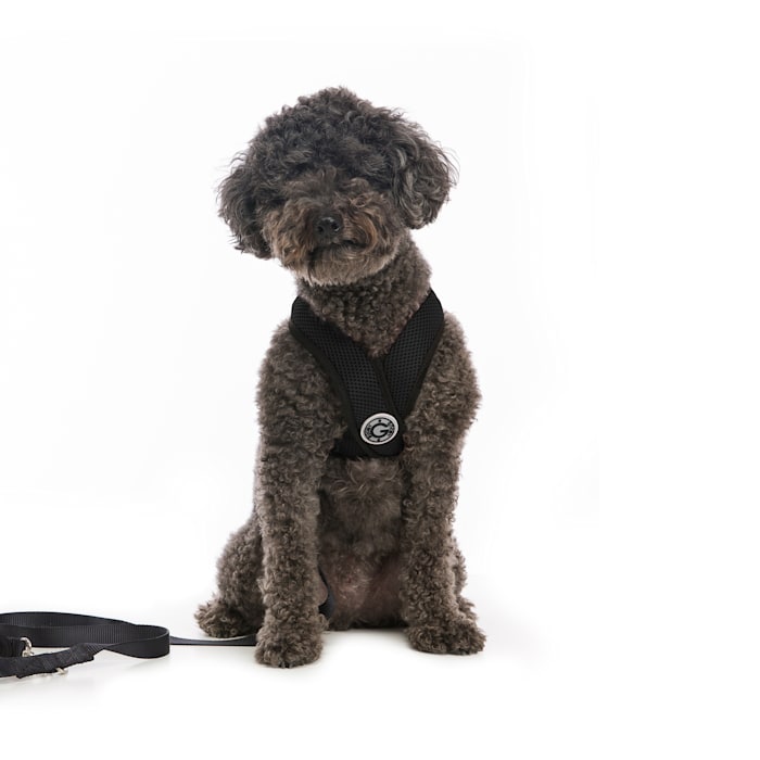 Gooby Comfort Harness Pink-M