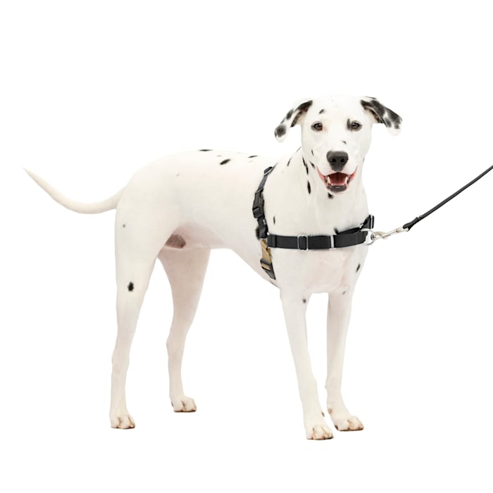 PetSafe Easy Walk Dog Harness - Medium/Large - Black/Silver - No-Pull Training