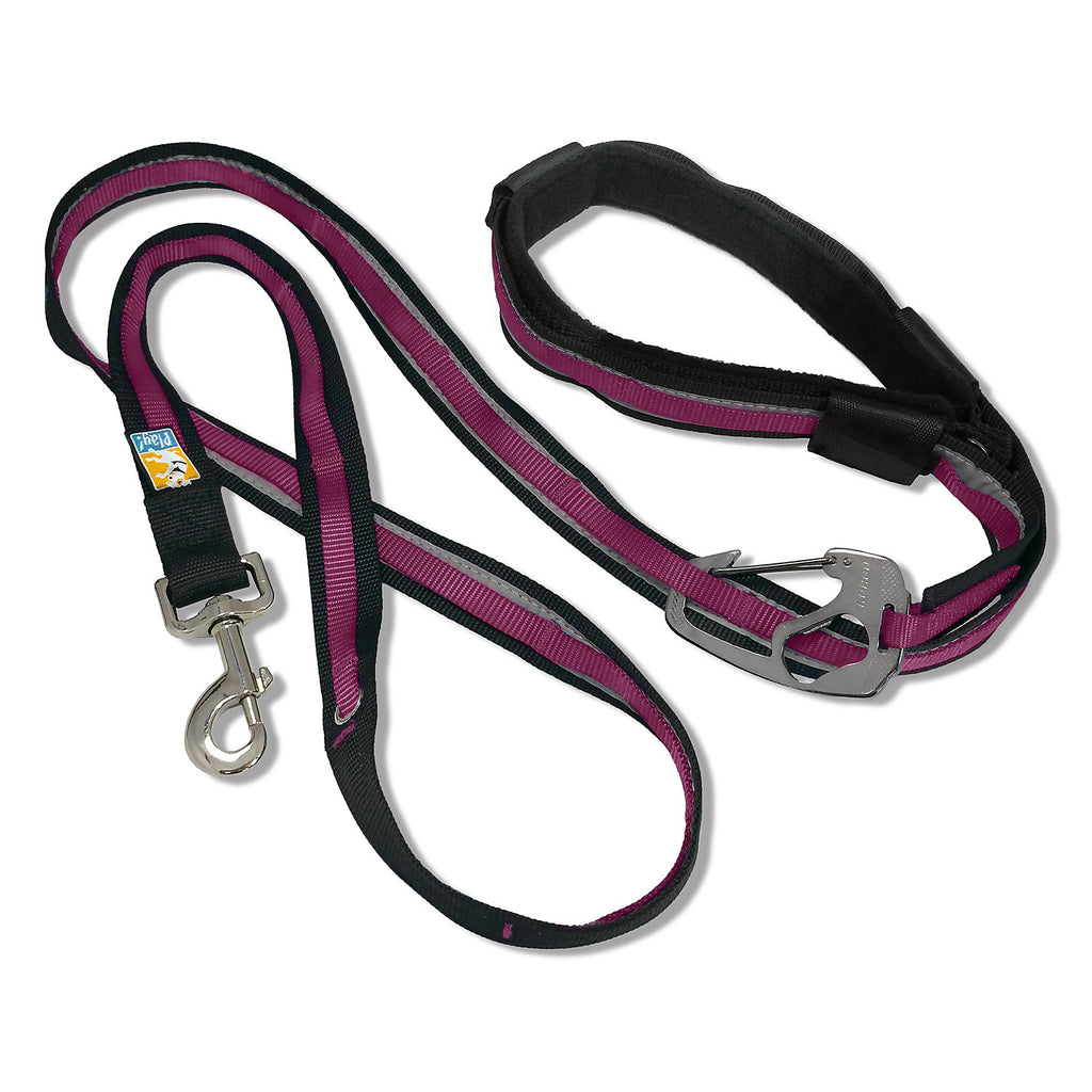 Kurgo Reflect & Protect Quantum Leash - Raspberry - 6-in-1 Hands-Free Dog Leash