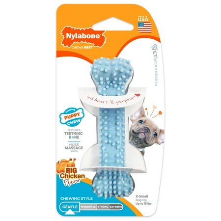 Nylabone Puppy Teething Chew Toy - Petite Blue Chicken Flavor Dental Bone for Small Puppies