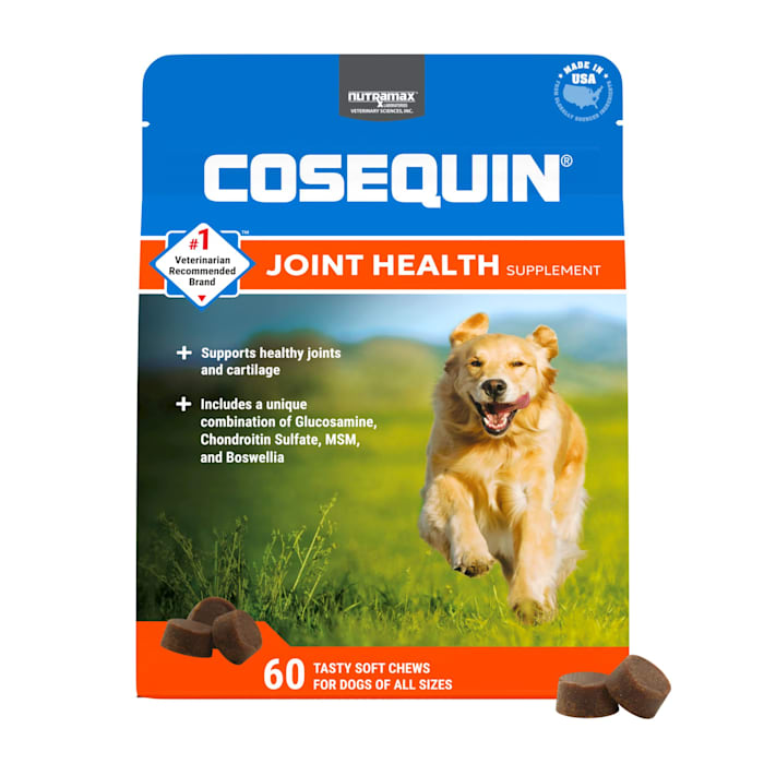 Nutramax Cosequin DS Plus MSM Dog Joint Supplement - 60 Soft Chews
