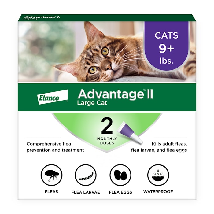 Advantage II Large Cat Flea Treatment & Prevention (Over 9 lbs) - 2 Month Supply