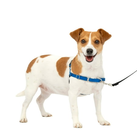 PetSafe Easy Walk Dog Harness, Small, Royal Blue/Navy Blue