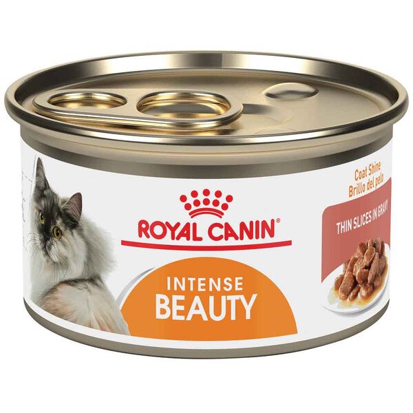 Royal Canin Intense Beauty Thin Slices in Gravy Wet Cat Food, Feline Care Nutrition, 3 oz Can