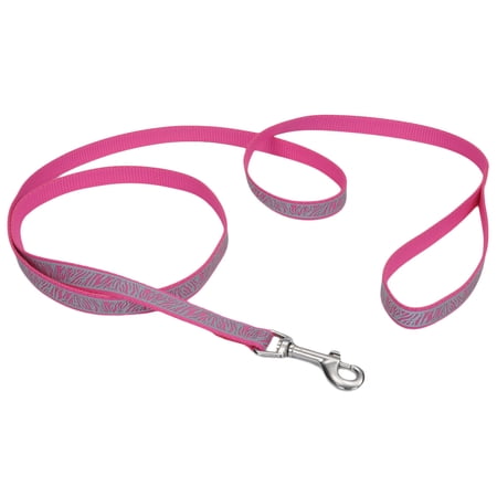 Coastal Pet Lazer Brite Dog Leash  6  x 3/8