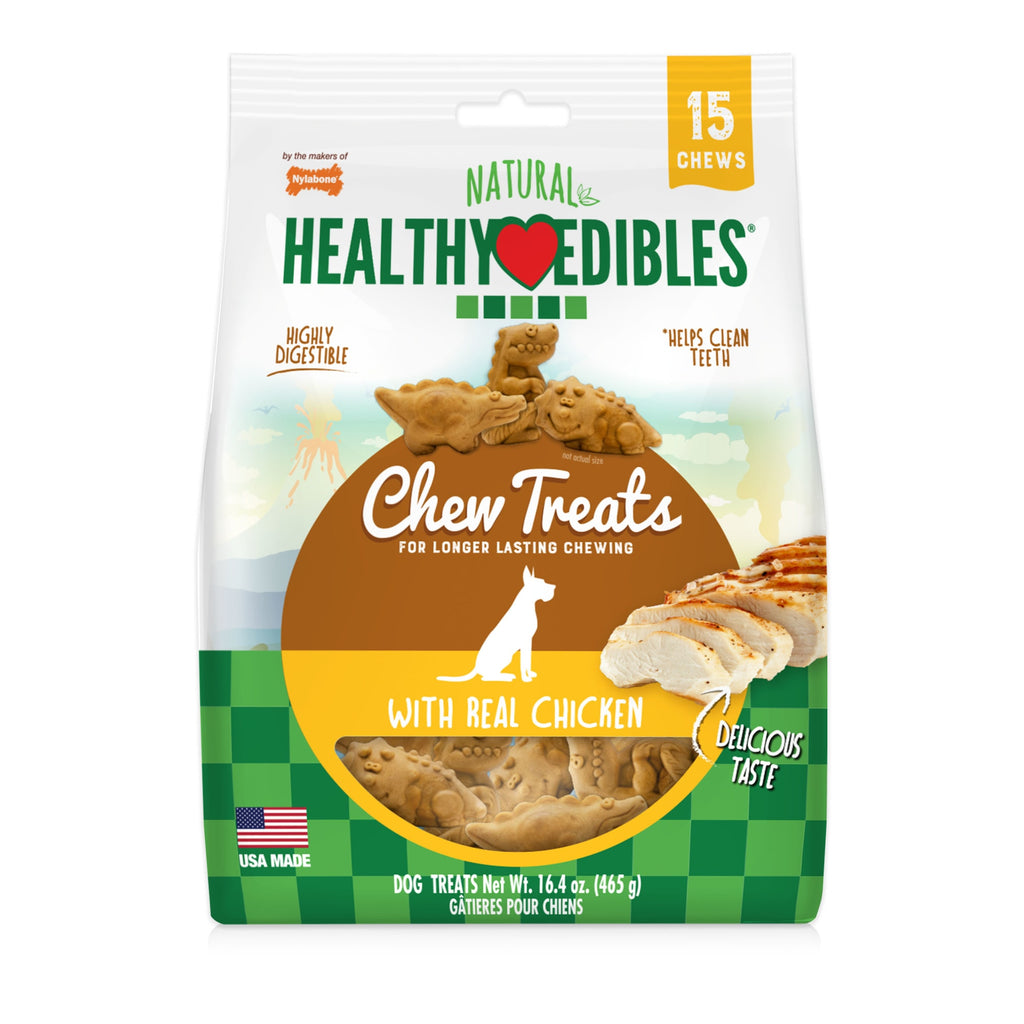 Nylabone Healthy Edibles Dino Dudes Natural Long Lasting ...