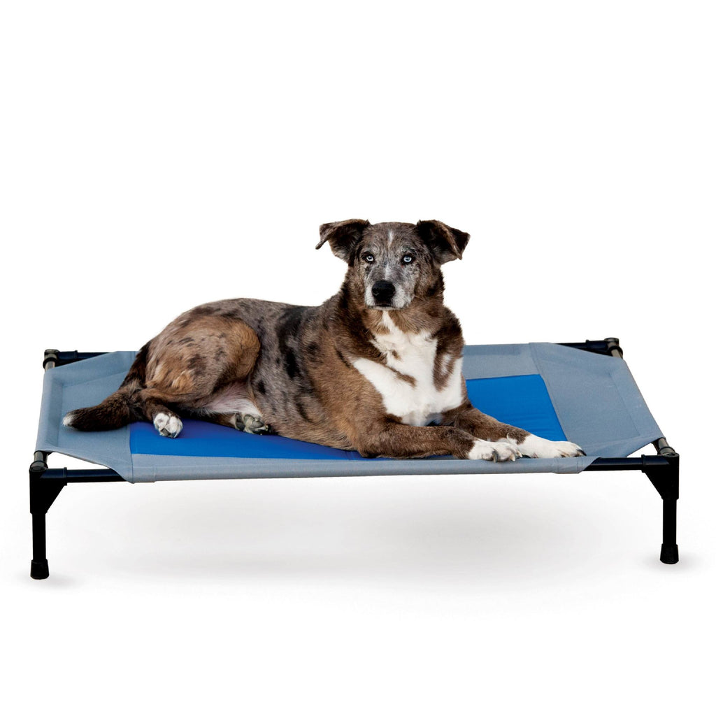 K&H Pet Products Coolin' Pet Cot Elevated Bed - Large 30" x 42" - Gray/Blue Cooling Dog Bed