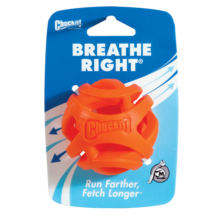 Chuckit! Air Fetch Dog Ball Toy