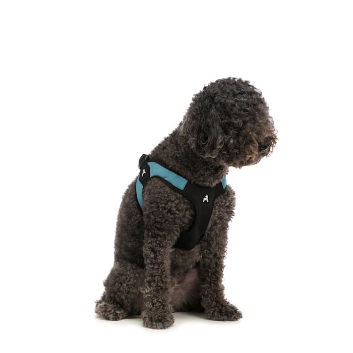 Gooby Escape Free Easy Fit Dog Harness - Turquoise - Small - Step-In