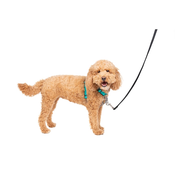 PetSafe 3 in 1 Harness  No-Pull Dog Harness and Car Restr...
