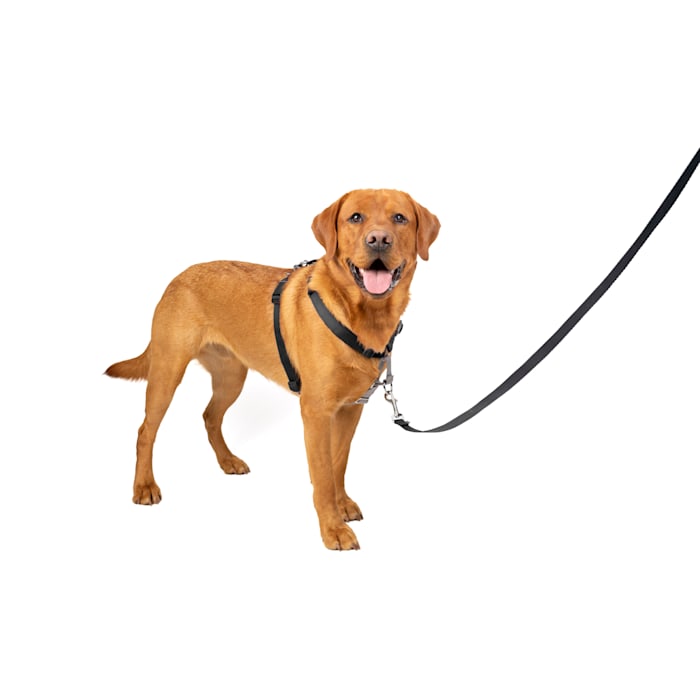 PetSafe 3 in 1 Harness  No-Pull Dog Harness and Car Restr...