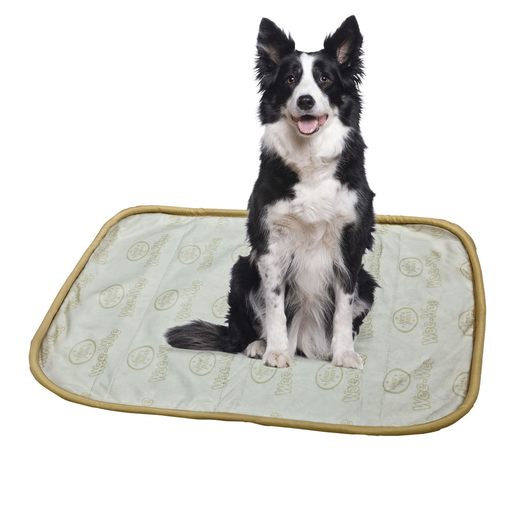 Four Paws Wee-Wee Washable Puppy Pad - 30 x 32 Inches - Reusable Dog Training Pee Pad
