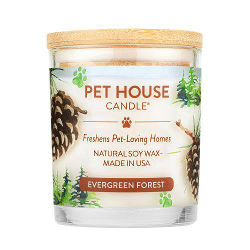 Pet House Candles Evergreen Forest Reed Diffuser - Pet Odor Eliminator
