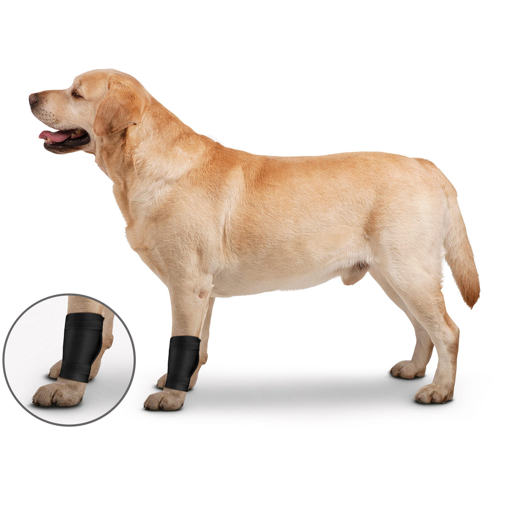 ZenPet Ligament Protector Ortho Wrap - Small - 1 Count