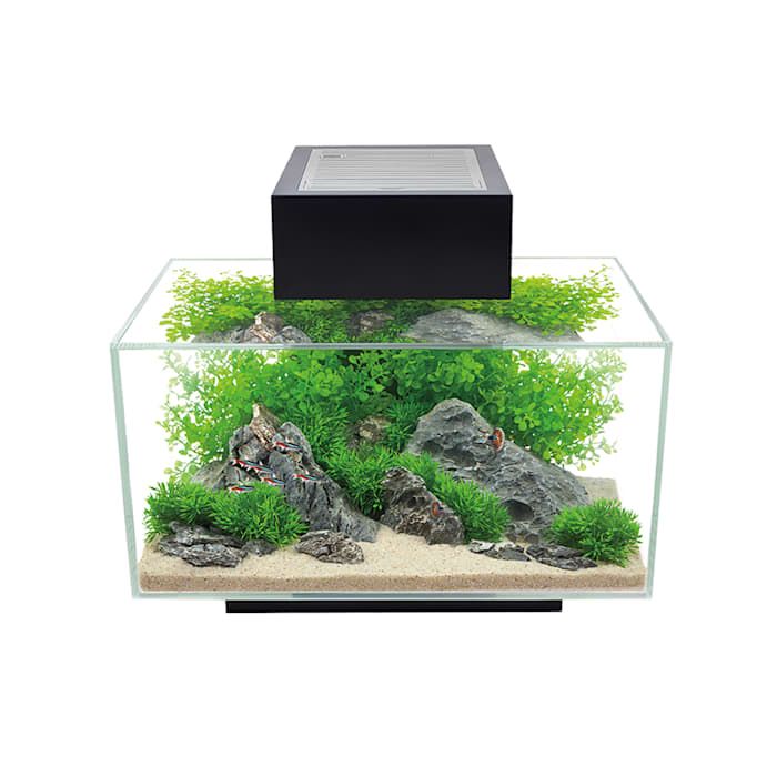 Fluval Edge 2.0 6g Aquarium Gloss Black