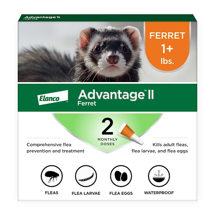 Advantage II Flea Treatment for Ferrets, 1+ lbs, 2 Doses (2-Month Supply)