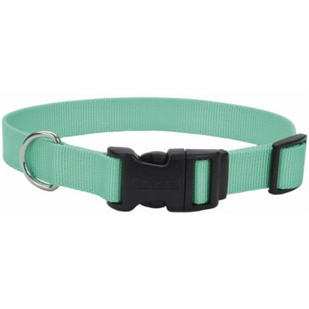 Coastal Pet 6301TEL 8 - 12 x 0.375 in. Teal Nylon Tuff Do...