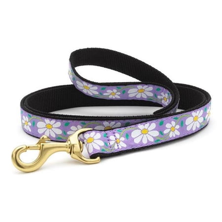 Up Country DAISBLL 6 ft. Small Breed Daisy Lead for Pet