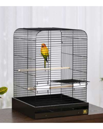 Prevue Pet Products Birdie Basics Wood Perch - 15" x 3/4" - Bird Cage Accessory