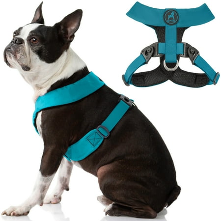 Gooby Comfort X Harness Dual Snap - Turquoise - X-Large - No Pull Dog Harness
