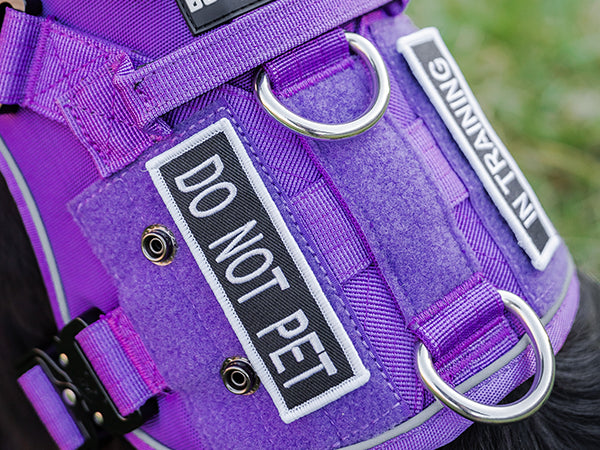 Boss Dog Tactical Harness Patch - On Duty - Large