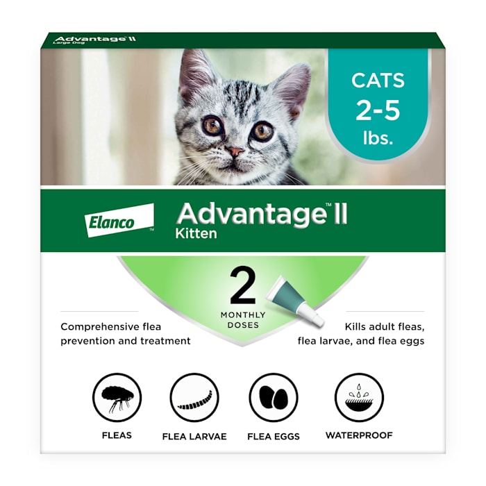 Advantage II Kitten Flea Treatment (2-5 lbs) - 2 Month Supply