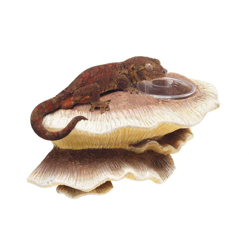 Zilla Vertical Mushroom Feeding Ledge - Reptile Decor