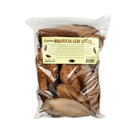 Josh's Frogs Magnolia Leaf Litter - 1 Gallon Reptile/Amphibian Terrarium Decor