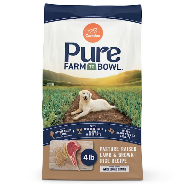 CANIDAE PURE Lamb & Brown Rice Recipe, 4 lb - Limited Ingredient Dog Food