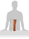 Sticky Image