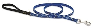 LupinePet Originals 1/2" Dapper Dog Leash - 6 Foot Padded Handle - For Small Pets