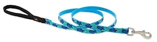 Lupine Pet Turtle Reef Dog Leash - 6 ft, 1/2 Inch Wide