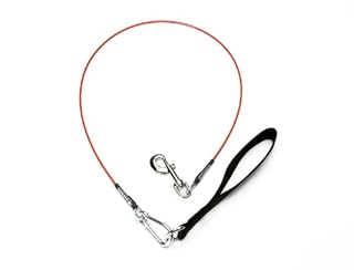 VirChewLy Indestructible Dog Leash 4 ft Medium - Orange Chew Proof Leash
