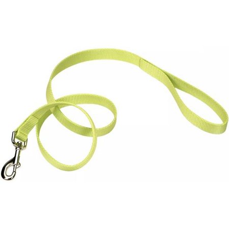 Coastal Pet Single-Ply Nylon Dog Leash - Lime Green - 4 ft x 3/8"