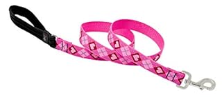 LupinePet Originals Puppy Love Dog Leash, 1 inch x 6 feet