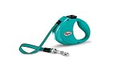 Flexi City Retractable Belt Dog Leash, One Size, 6-Feet L...